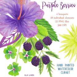 Purple Berries & Flowers ~ Illustrations ~ Creative Market