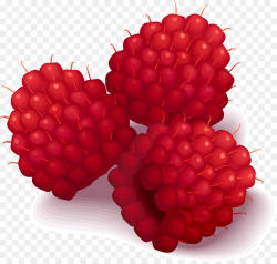 Macaron Raspberry Clip art - raspberries png download - 2296*2173 ...