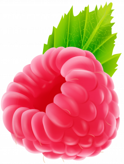 Raspberry PNG Clip Art Image | Gallery Yopriceville - High-Quality ...