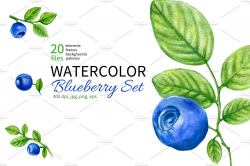 Watercolor Blueberry Collection ~ Patterns ~ Creative Market