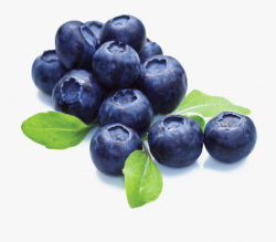 Blueberries Transparent - Blue Berries With Transparent ...