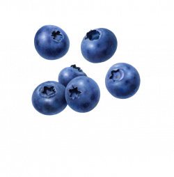 Blueberry PNG Image - PurePNG | Free transparent CC0 PNG Image Library