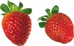 Strawberry Solo transparent PNG - StickPNG