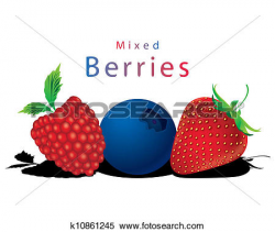 Mixed Berry Clipart