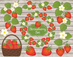 Strawberry Clipart - Vector Strawberry Clipart, Rustic Clipart ...