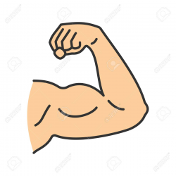 Bicep Cliparts Free Download Clip Art - carwad.net