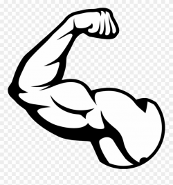 Clip Art Free Muscle Png Images Free Download - Biceps Png ...