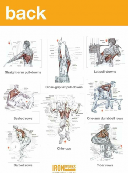 Pin by Валера Ceorin on GYM3 | Pinterest | Workout, Gym and Exercises