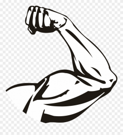 Picture Freeuse Download Bicep Drawing Female - Arms Png ...