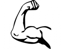 biceps clipart 4 | Clipart Station