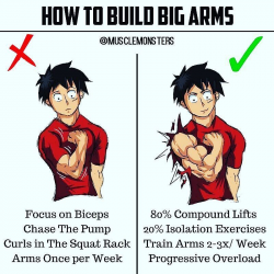 HOW TO BUILD BIG ARMS BY @musclemonsters _ The keys to building ...