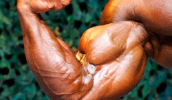 3 Tips for BIGGER Biceps - Risling Podium Performance
