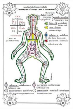 The Diagram of Energy Lines in Human Body | Yoga! | Pinterest ...