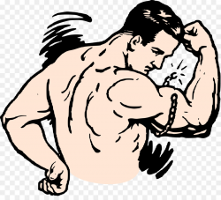 Strongman Bodybuilding Clip art - muscles png download - 2400*2140 ...