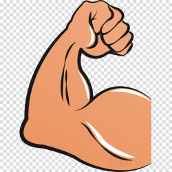 Download bicep clipart Biceps Clip art