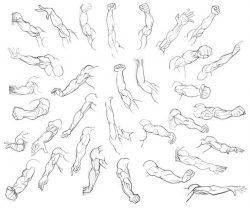28+ Collection of Arm Drawing Ref | High quality, free cliparts ...