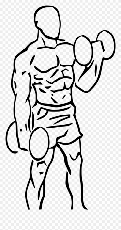 Biceps Drawing Man's Arm - Dumbbell Curl Png Clipart ...