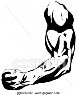 Stock Illustration - Female biceps. Clipart Illustrations gg60850065 ...