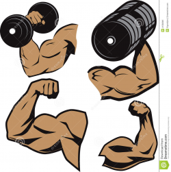 Arm Flexing Clipart | Free download best Arm Flexing Clipart on ...