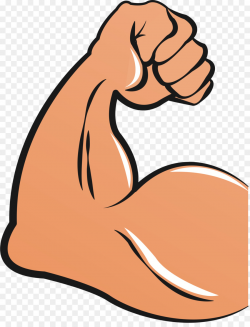 Biceps Arm Muscle Clip art - arm png download - 1848*2393 - Free ...