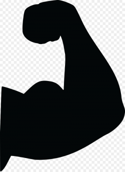 Biceps Arm Muscle Clip art - arm png download - 4000*5494 - Free ...