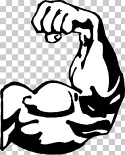 Muscle Arm Cartoon Drawing , muscles PNG clipart | free ...
