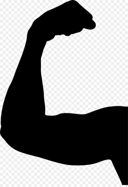 Muscle Computer Icons Biceps Physical strength - muscle png ...