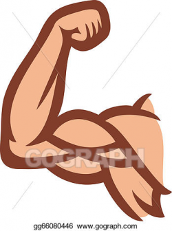 EPS Vector - Man's arm muscles - biceps . Stock Clipart ...