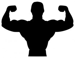 fitness biceps silhouette - /recreation/fitness/fitness_silhouettes ...