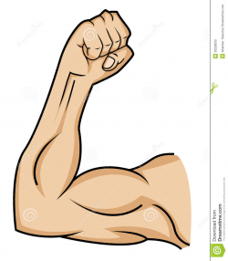Muscle Arm Clipart - cilpart