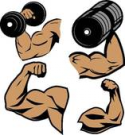 muscular strength | Clipart Panda - Free Clipart Images