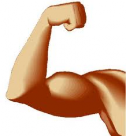 Muscular Strength And Endurance Clipart (11+)
