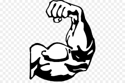Arm Muscle Biceps Clip art - Muscular Strength Cliparts png download ...