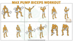 Max Pump Biceps Workout - Healthy Training Arms Triceps Forarms ...