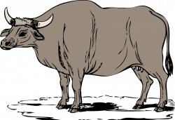 Collection of 25+ Ox Clipart