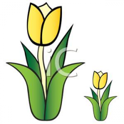 Small And Large Clipart