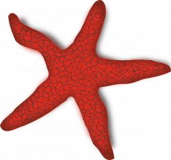 Clipart - red starfish