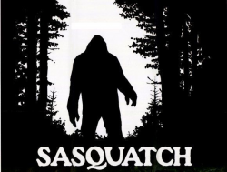 20 best Yeti Sasquatch images on Pinterest | Bigfoot, Monsters and ...