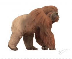 Gigantopithecus blacki Ape King Kong Bigfoot Primate - orangutan png ...