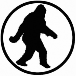 contest] Bigfoot with a book-5,000 doge : dogecoin