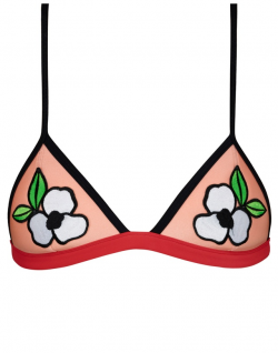 Catia Triangl Bikini Top | Endource
