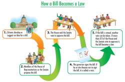 How A Bill Becomes A Law - Lessons - Tes Teach