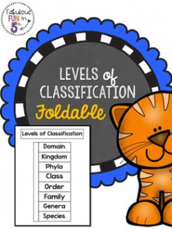 Free Levels of Classification Foldable | Free Middle and High School ...