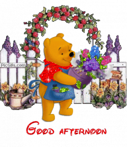 good afternoon gif pictures - Bing Images | Greetings | Pinterest ...