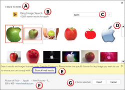 Insert Picture from Bing in PowerPoint 2013