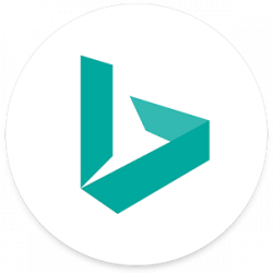 Bing | Logopedia | FANDOM powered by Wikia
