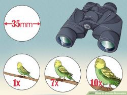 How to Choose Binoculars: 8 Steps (with Pictures) - wikiHow