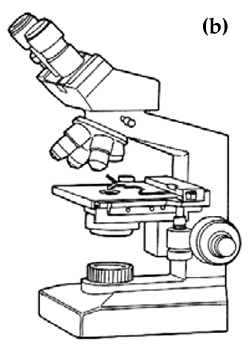 Binocular Microscope Drawing at GetDrawings.com | Free for personal ...