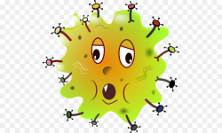 Disease Infection control Clip art - Biology Cliparts png download ...