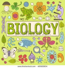 Biology hand drawn colorful vector illustration with doodle icons ...